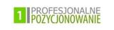 Profesjonalne Pozycjonowanie, PoznaÅ„