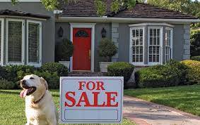  Profile Photos of Otranto Real Estate Co 2664 Timber Drive, Suite 135 - Photo 4 of 8