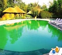  Profile Photos of Resorts In Jim Corbett National Park 314, Laxmi Deep Building, District Centre, Laxmi Nagar,  New Delhi - Photo 14 of 17