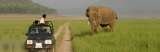 Safari In Jim Corbett National Park, New Delhi