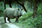 Menus & Prices, Hotels in Kaziranga National Park, New Delhi