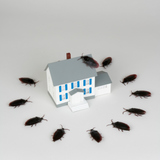 Barfield Home Inspections and Pest Control PLLC, Bridge City