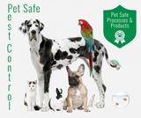 Arizona Pest Solutions, Gilbert