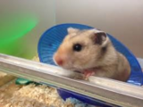 Pets at Home Leeds, Leeds