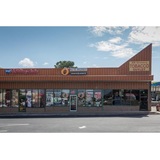  Peachstate Insurance 32 GA -138 