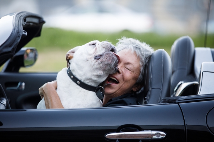  Profile Photos of Common Companion Vet Co. 240 North Highland Avenue , Suite B - Photo 10 of 11