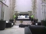 Sydney Domain Furniture Removals, Sydney