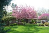  Lindemann Root Canal Specialists 8185 Holly Rd 