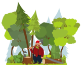 Arborist Direct Glasgow, Glasgow