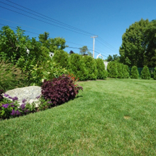  Profile Photos of Oconomowoc Lawn Care 3277 Canterbury Ln - Photo 2 of 4