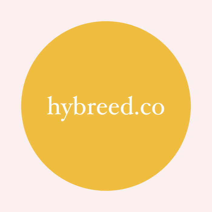  Profile Photos of Hybreed Office No. 237, Satra Plaza, Phase 2, Sector 19, Vashi - Photo 1 of 1
