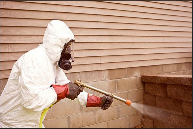  New Album of Wells Pest Control 3043 Evelyn Ln - Photo 4 of 6
