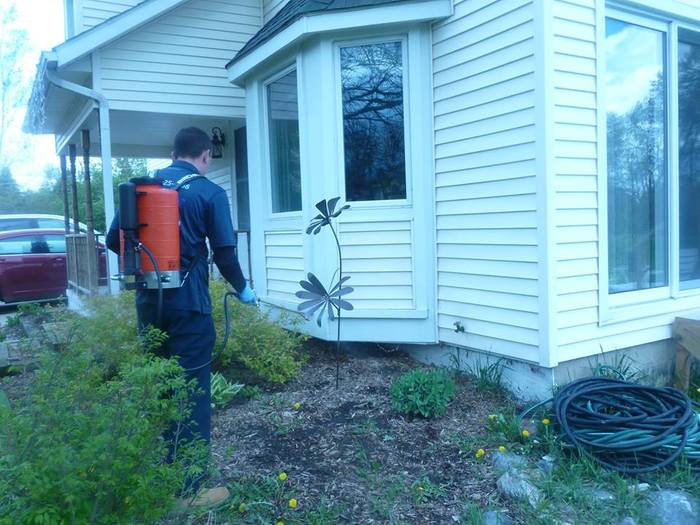  New Album of Wells Pest Control 3043 Evelyn Ln - Photo 6 of 6