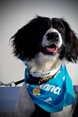  Dave Cumber Vets D1, Link Park, Chickerell Link Rd 