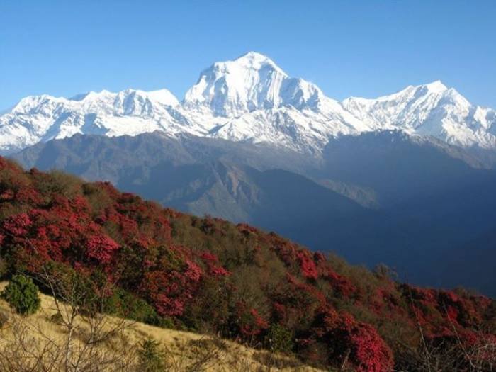 Holiday Hiking <br />
http://www.holidayhiking.com Holiday Hiking of Hiking Holiday - Holiday Hiking Thamel, Kathmandu, Nepal - Photo 2 of 37