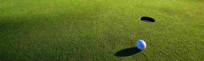  Profile Photos of Perfect Golf Event 3208 Sawgrass Village Circle, Suite B - Photo 2 of 3