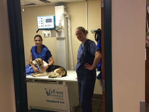  PHOTOS of Valley West Veterinary Hospital 201 Virginia Street West - Photo 2 of 8