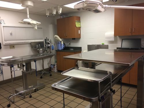  PHOTOS of Valley West Veterinary Hospital 201 Virginia Street West - Photo 4 of 8