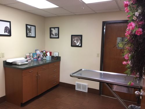  PHOTOS of Valley West Veterinary Hospital 201 Virginia Street West - Photo 6 of 8