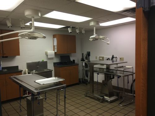  PHOTOS of Valley West Veterinary Hospital 201 Virginia Street West - Photo 8 of 8
