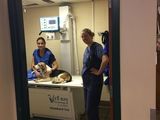  Valley West Veterinary Hospital 201 Virginia Street West 