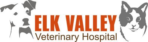  PHOTOS of Elk Valley Veterinary Hospital 913 Old Frame Road - Photo 8 of 10