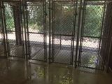  Elk Valley Veterinary Hospital 913 Old Frame Road 