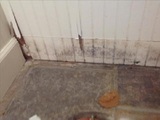 Mold Remediation and Water Restoration Pros, Lantana