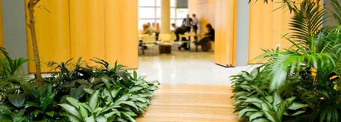  Profile Photos of Universal Floral Office Plants Rental & Plants Maintenance Service UK 8 Richelieu Park, Finglas North - Photo 2 of 10