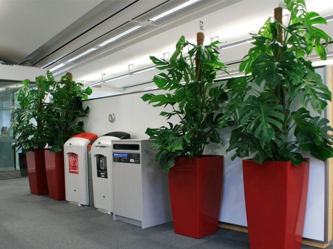  Profile Photos of Universal Floral Office Plants Rental & Plants Maintenance Service UK 8 Richelieu Park, Finglas North - Photo 5 of 10