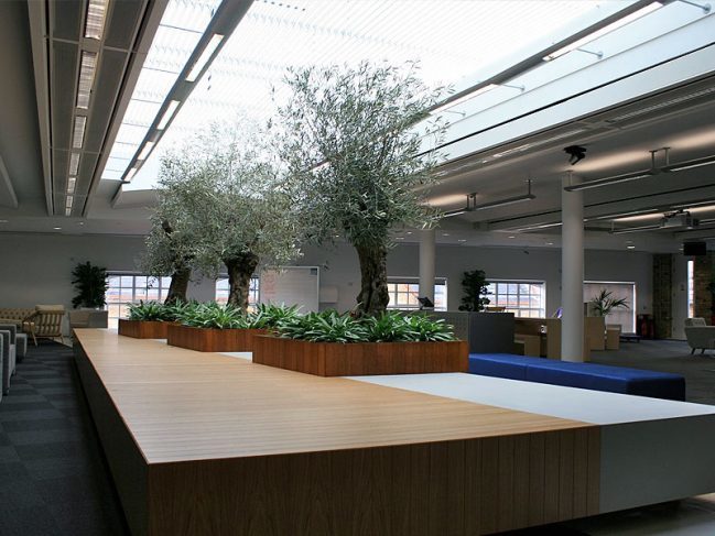  Profile Photos of Universal Floral Office Plants Rental & Plants Maintenance Service UK 8 Richelieu Park, Finglas North - Photo 6 of 10