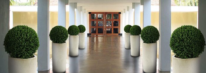  Profile Photos of Universal Floral Office Plants Rental & Plants Maintenance Service UK 8 Richelieu Park, Finglas North - Photo 9 of 10