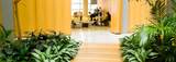  Universal Floral Office Plants Rental & Plants Maintenance Service UK 8 Richelieu Park, Finglas North 