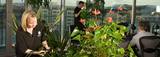  Universal Floral Office Plants Rental & Plants Maintenance Service UK 8 Richelieu Park, Finglas North 