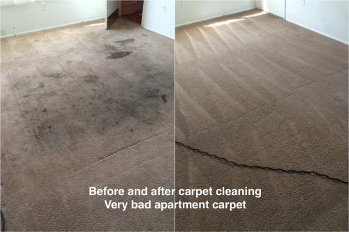  New Album of Greg's Carpet Cleaning 1419 Villa Lila NE - Photo 2 of 3