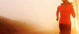  Top-rated Chiropractic Treatment Brampton - Chiropractor Brampton 10425 Kennedy Road North - Suite 205 