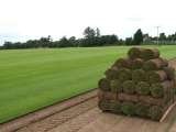Turf, Collier Turf Care, King's Lynn