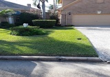 Longhorn Drain Company, Cypress