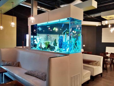  New Album of Living Art Aquatics, Inc. 824 S Main St - Photo 3 of 4