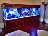  Living Art Aquatics, Inc. 824 S Main St 