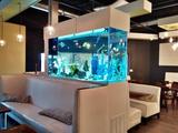  Living Art Aquatics, Inc. 824 S Main St 