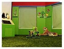  Profile Photos of Little Legends Shubham Enclave, Paschim Vihar, New Delhi (India) - Photo 4 of 8