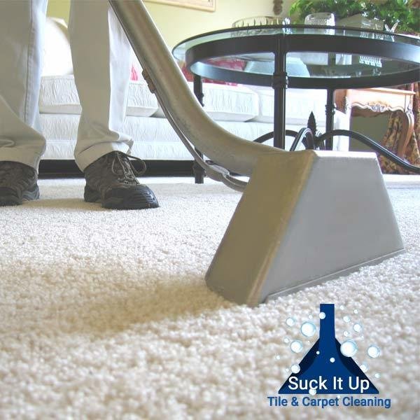  Profile Photos of Suck it up Tile and Carpet Cleaning 35644 Running Brook Ln - Photo 1 of 3