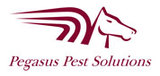 Pegasus Pest Solutions, Portsmouth