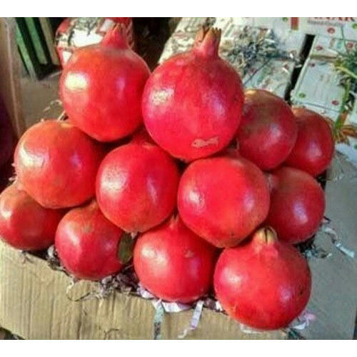  Profile Photos of Rana Fruit Company H 3/27, 1st Floor, Inside Central Tower, Sector 18 Rohini, - Photo 1 of 1