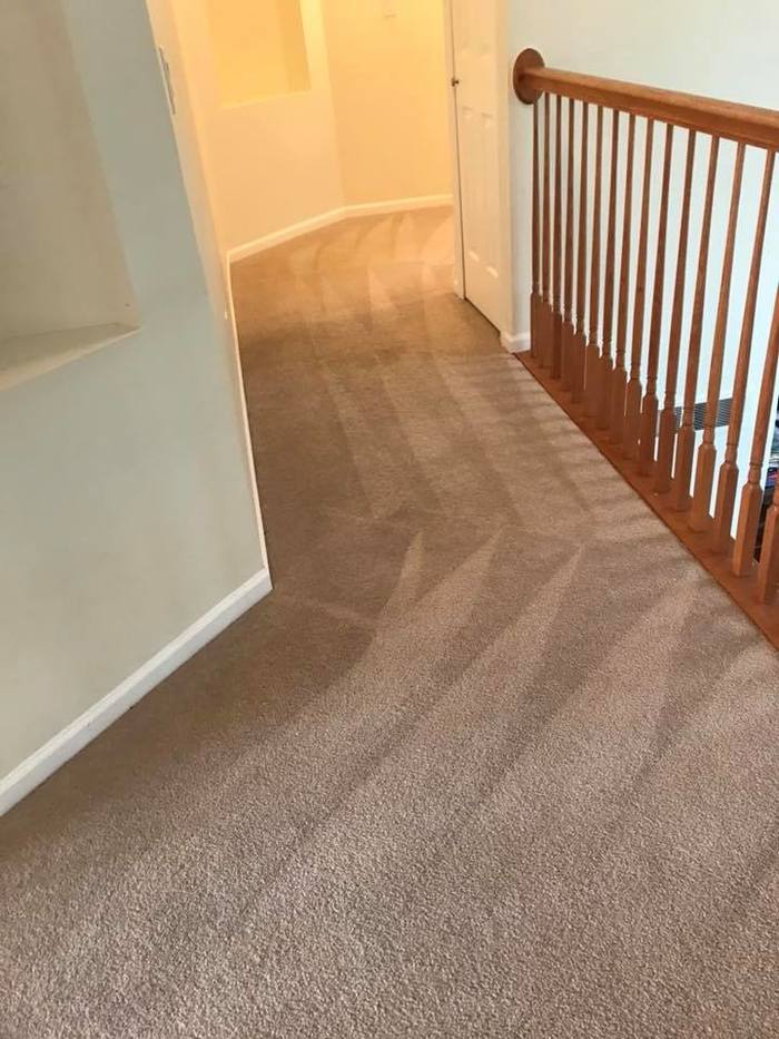  Profile Photos of Royalty Air Duct & Carpet Cleaning 3826 Trade Center Drive - Photo 1 of 5