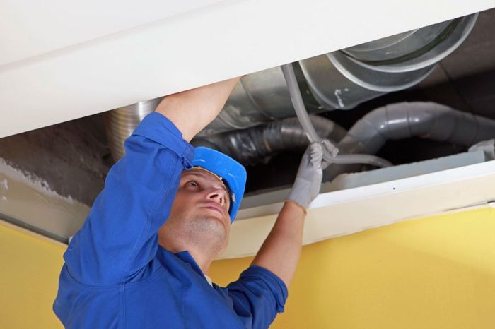 Profile Photos of Royalty Air Duct & Carpet Cleaning 3826 Trade Center Drive - Photo 4 of 5