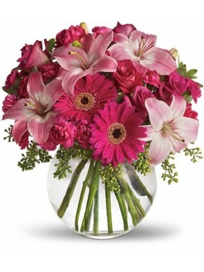  New Album of Happy Birthday Flowers 44 Horton Street - Photo 1 of 10