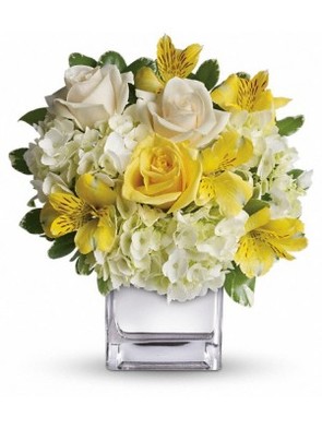  New Album of Happy Birthday Flowers 44 Horton Street - Photo 3 of 10