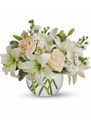  New Album of Happy Birthday Flowers 44 Horton Street - Photo 4 of 10